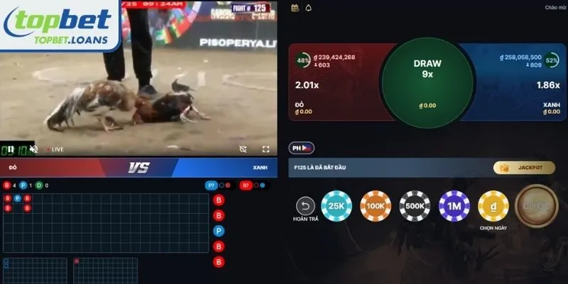 Key benefits of choosing cock-fighting in online platforms
