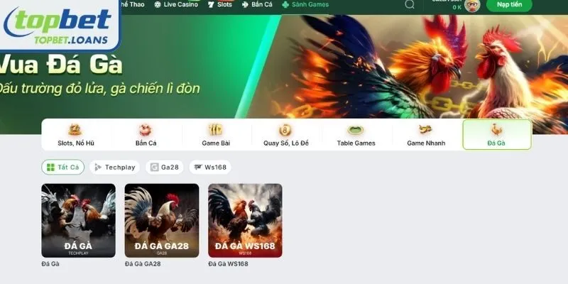 An overview of cock fighting at TOPBET