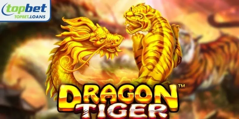 Overview of Dragon Tiger at TOPBET