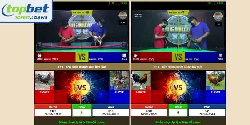 Prioritize live betting tactics