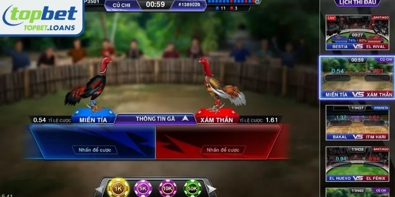 Top strategy for betting on Knife-spur Cockfighting at TOPBET