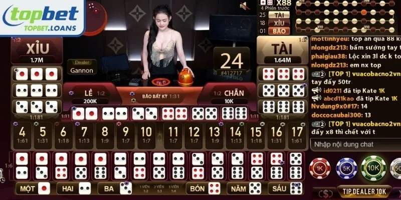 Payout Ratios